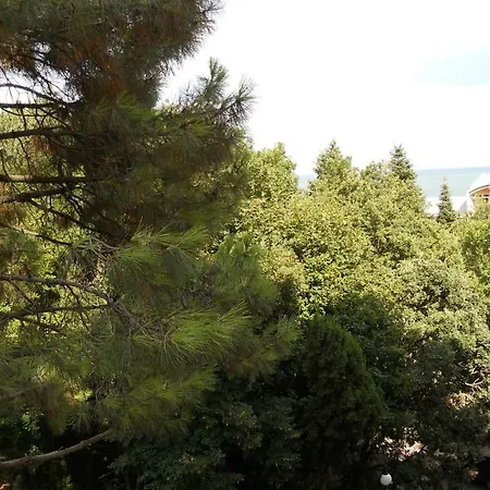 Bendita Holiday Daire Altın Kumlar